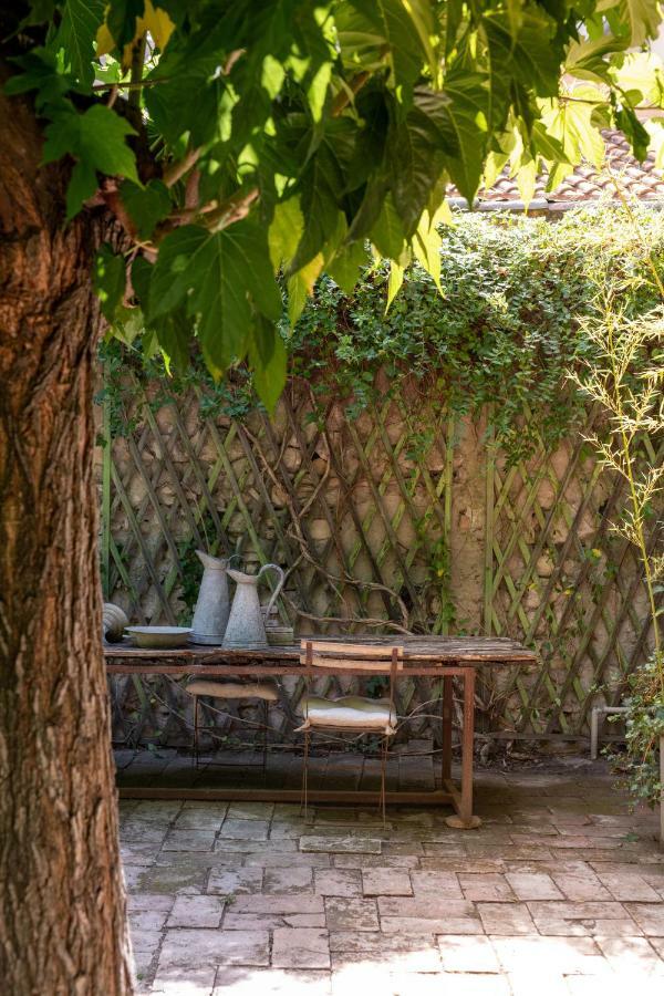 Maison Xixe Et Jardin En Intramuros أفينيون المظهر الخارجي الصورة